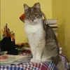Отзыв от Вероника Коновалова